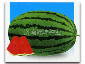 ����������-���ϷN��-Ǭ���N�I(y��)