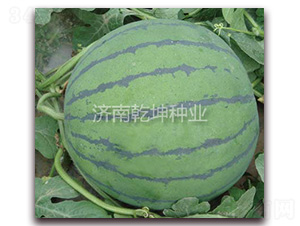 ��Ԫ��-���ϷN��-Ǭ���N�I(y��)