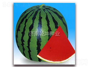 ̩ɽ182-���ϷN��-Ǭ���N�I(y��)