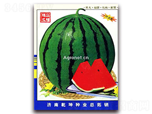 ������̖(h��o)-���ϷN��-Ǭ���N�I(y��)