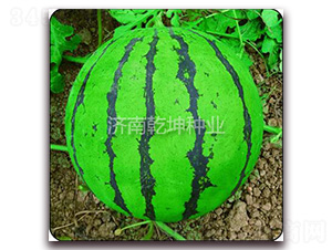 �OƷ����-���ϷN��-Ǭ���N�I(y��)