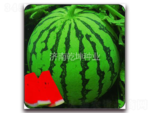 ��(ji��ng)�����-���ϷN��-Ǭ���N�I(y��)