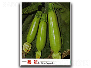 �̲������J-�����J�N��-�x���