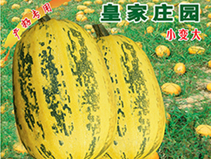 �ʼ��f�@-�����J�N��-�x���