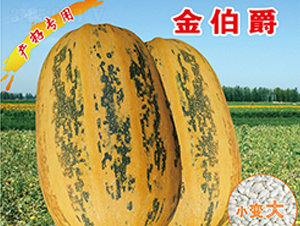 �𲮾�-�����J�N��-�x���(l��i)