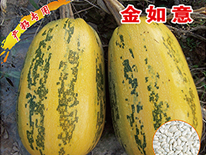 ������-�����J�N��-�x���(l��i)