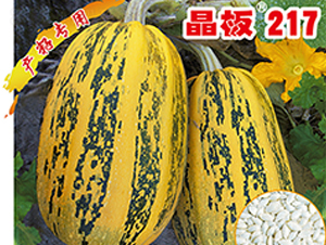 ����217-�����J�N��-�x���(l��i)