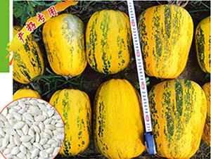 ����һ̖(h��o)-�����J�N��-�x���(l��i)