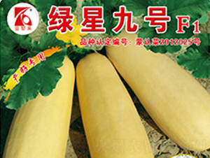 �G�Ǿ�̖(h��o)-�����J�N��-�x���(l��i)