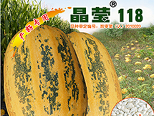 ����118-�����J�N��-�x���(l��i)