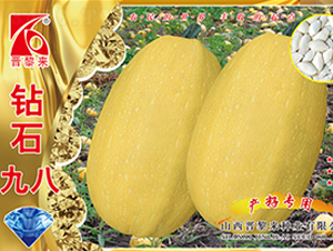 �@ʯ�Ű�-�����J�N��-�x���