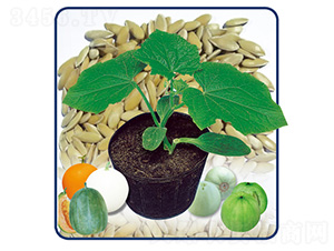 ��������һ̖-�����ľ-��̩�_(d��)