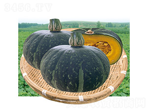 С��ؐ�Ϲ�F1-�ϹϷN��-��̩�_(d��)