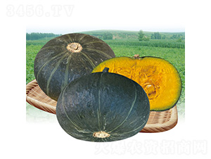 С��ؐ4�Ϲ�F1-�ϹϷN��-��̩�_(d��)