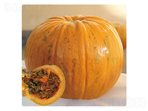 ��֮��-�ϹϷN��-��̩�_(d��)