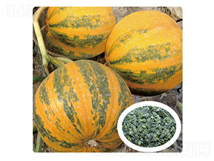 �ι�һ̖(h��o)-�����J�N��-��̩�_(d��)