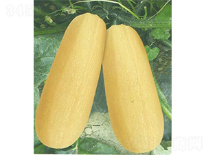 ̩�S��̖(h��o)�����J-�����J�N��-��̩�_(d��)