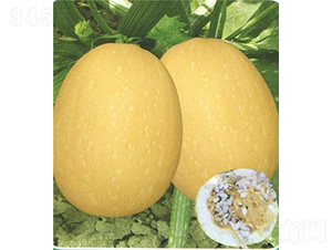 ̩�S��̖(h��o)�����J-�����J�N��-��̩�_(d��)