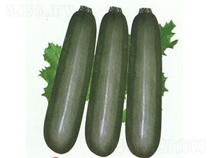 ī�������J-�����J�N��-��̩�_(d��)