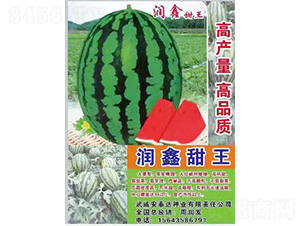 �Ν�����-���ϷN��-��̩�_(d��)