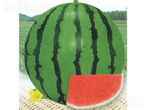 �ļ�����-���ϷN��-��̩�_(d��)