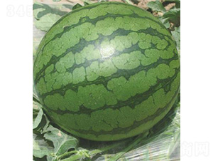 �ļ��ᭇ����-���ϷN��-��̩�_(d��)