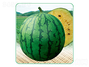 �ļ��ᭇ5̖(h��o)-���ϷN��-��̩�_(d��)