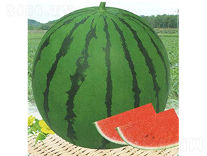 �ձ�����-���ϷN��-��̩�_(d��)