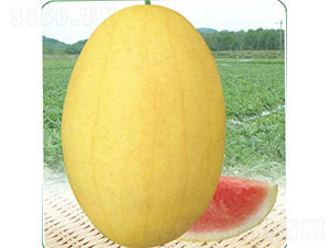 �������-���ϷN��-��̩�_(d��)