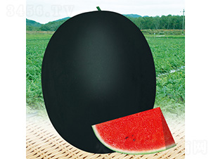 �ڱ���̖(h��o)����-���ϷN��-��̩�_(d��)