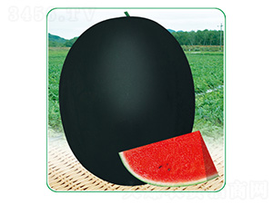 �ڱ���̖(h��o)-���ϷN��-��̩�_(d��)