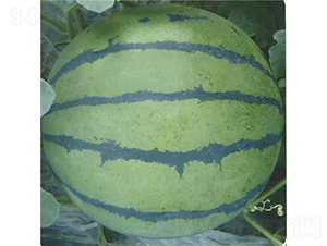 ��(gu��)��2018-���ϷN��-��̩�_(d��)