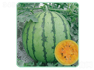 �ʺ�����-���ϷN��-��̩�_