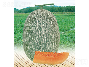 ��̩��18̖-���ϷN��-��̩�_