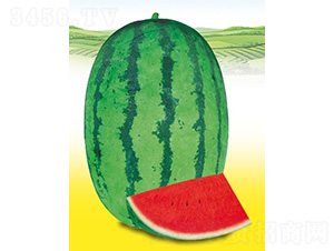 ����11̖-���ϷN��-��̩�_