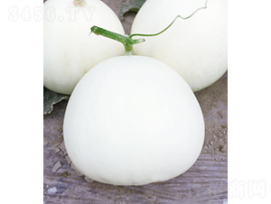 ��������-��ϷN��-��̩�_