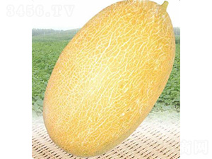 ��(y��u)�t����-��ϷN��-��̩�_