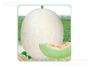 �y��9̖-��ϷN��-��̩�_