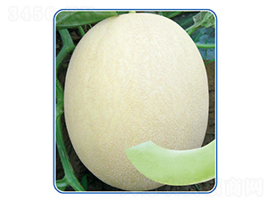 �y��8̖-��ϷN��-��̩�_