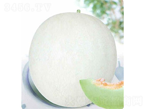 �y��5̖���-��ϷN��-��̩�_