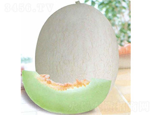 �y��4̖���-��ϷN��-��̩�_