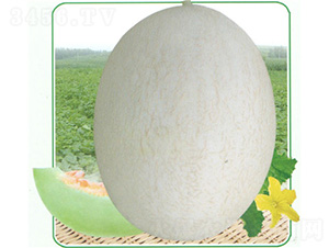 �y��2̖���-��ϷN��-��̩�_