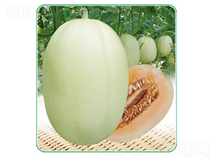 �|����-��ϷN��-��̩�_