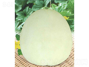 ���������-��ϷN��-��̩�_