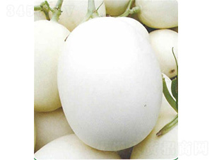 �ļ��y�tһ̖���-��ϷN��-��̩�_