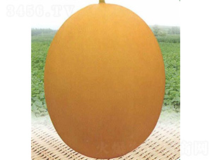 �ļ���t��̖(h��o)���-��ϷN��-��̩�_(d��)