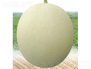 ���������-��ϷN��-��̩�_(d��)