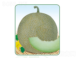 �G�����-��ϷN��-��̩�_(d��)