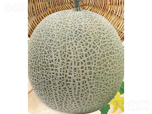 ��(j��ng)�������-��ϷN��-��̩�_(d��)