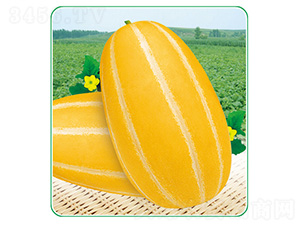 �����-��ϷN��-��̩�_(d��)